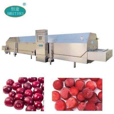 Quick Frozen Cherry Machine Frozen Cherry Processing Line