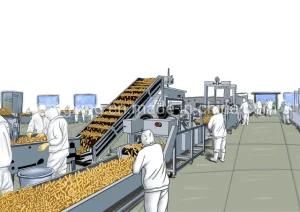 Full Automatic Fried Potato Chips Production Line/French Fries Making Machine for Frozen ...