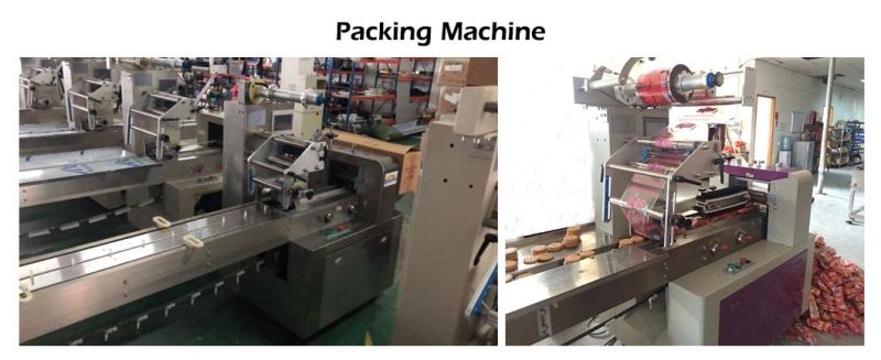 Hard/Soft Biscuit Production Line Snack Macking Machine