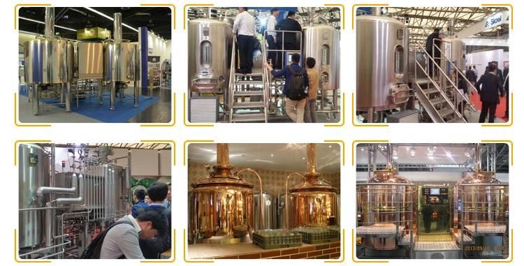 1000L Beer Fermenter Beer Brewing System
