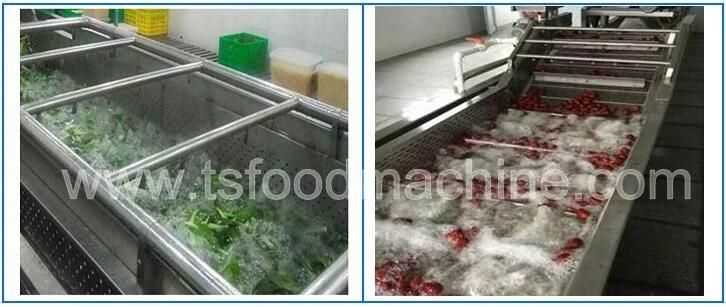 Squid Dewatering Machine Octopus Dehydrator Seafood Dehydrator Machine