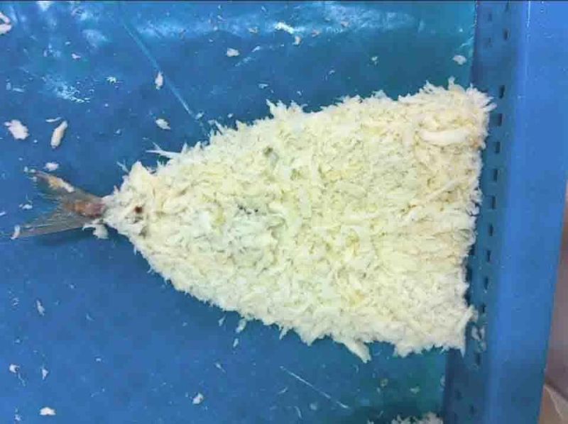 Meatball Food Bread Crumbs Coating Flouring Machine for Chicken Hamburger