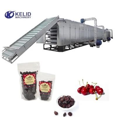 Hot Air Heat Pump Circulation Cherry Continuous Dryer Drying Machine