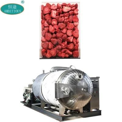 Freezed Drying Machine Vacuum Dryer Dried Strawberry Vacuum Freeze Dryer