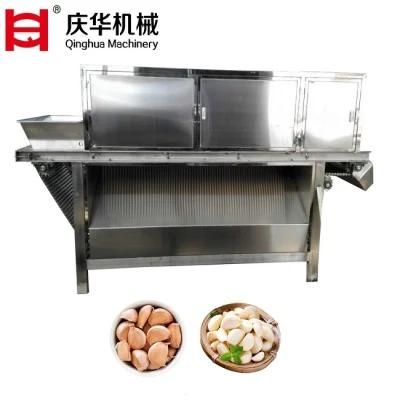 Chain Type Onion Peeling Machine for Garlic Processing Plant Garlic Peeling Machine