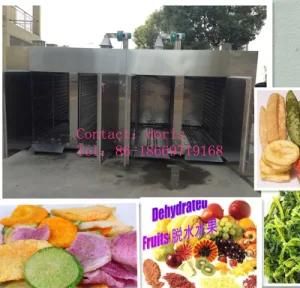 Stainless Steel Fruit Drying Machine/Industrial Fruit Dryer/Vegetable Drying Machine
