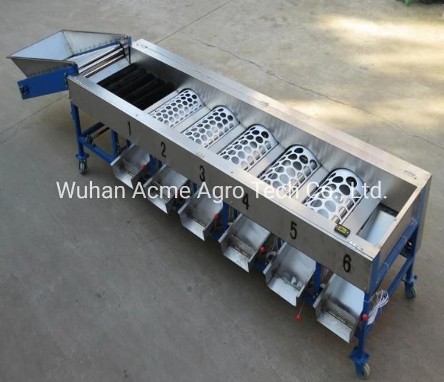 Orange Vegetable Sorter Palm Dates Cherry Garlic Grader Mango Fruit Sorting Onion Grading Machine