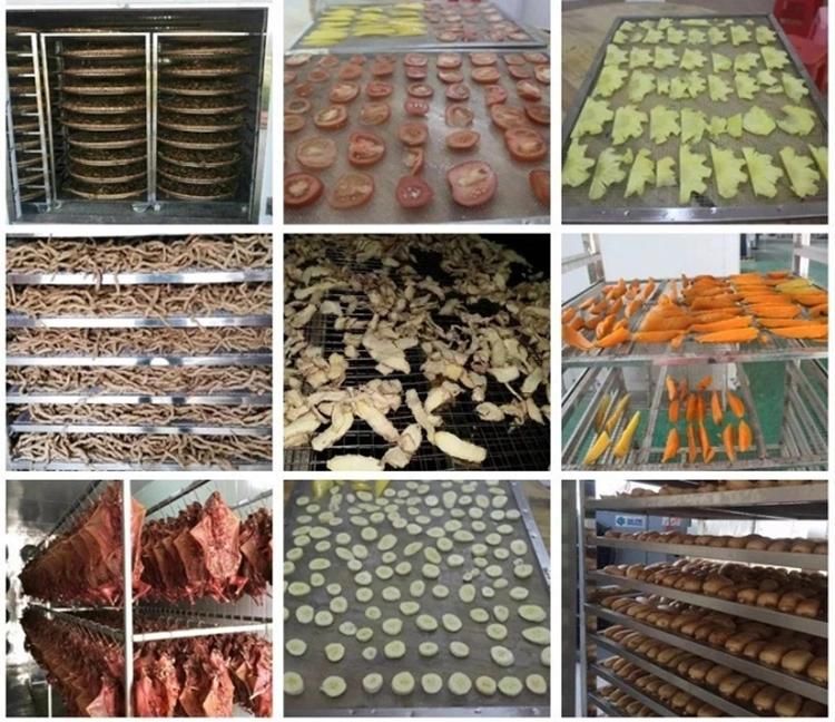 Saving 75% Electricity Fruit and Vegetable Drying Machine