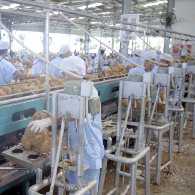 100 Tons Per Hour Coconut Milk Processing Line Coconut Cream Processing Line Coconut Water Processing Line
