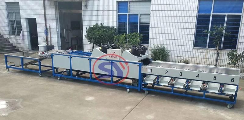 Sugar Orange Avocado Fruit Sorting Grading Machine