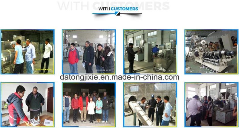 Twin Screw Dry Dog Feed Production Equipment