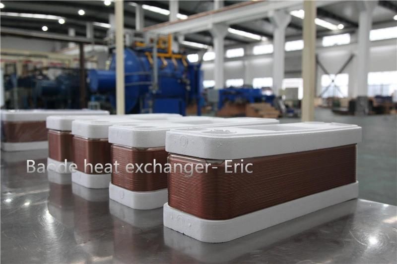 BS60b-66D BS60b-70d Pasteurization Heat Exchanger Gaskets for Wine Tempering