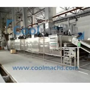 Commercial Fruit and Vegetable Dryer/Food Continuous Drying Line