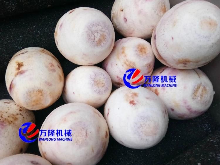 Industrial Carrot Washing Peeling Cutting Drying Packing Production Line