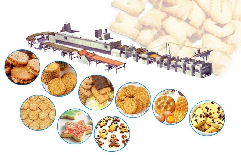 Vegetable Biscuit Making Machine Popular and High Quality Commercial Auto Biscuit Machine for Sale