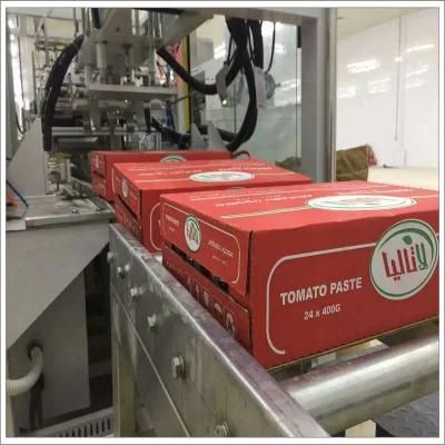 Tomato Ketchup Production Line