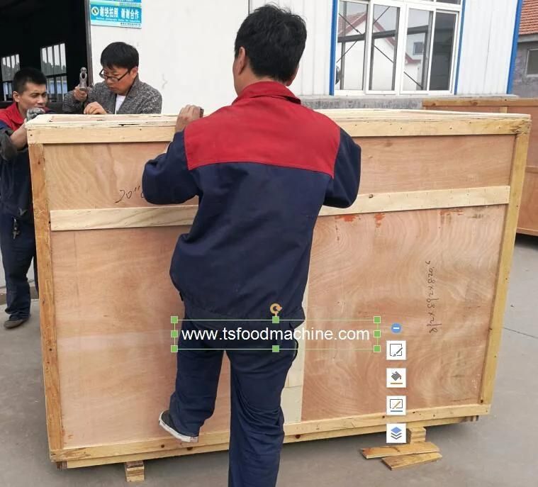 Commercial Vegetable Washing Machine U-Shape Potato Peeling Washer