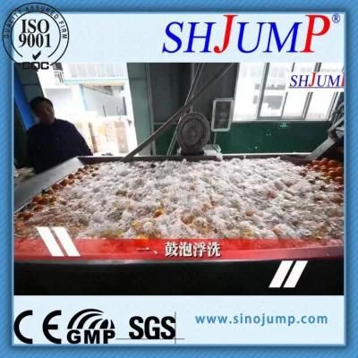 Air-Blowing Type/Bubble Surfing Washing Machine for Fruit and Vegetable Processing Line