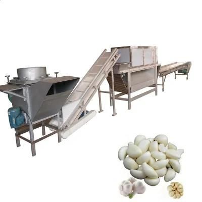 Dry Garlic Peeling Machine Factory Automatic Garlic Production Line