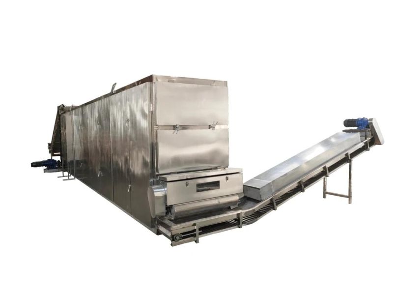 Automatic Drying Oven for Beans