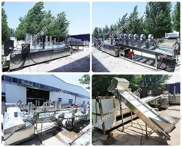 Potato Frying Machine Lines Potato Chips Frying Production Line