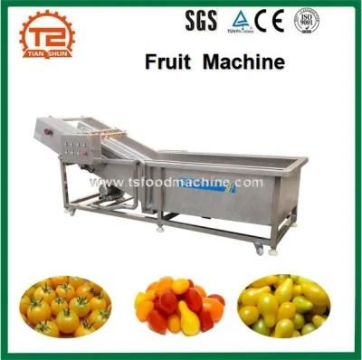 Food Company Use Vegetable Air Bubble Washing Machine and Fruit Washer