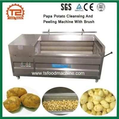 Vegetable Processing Machinery Papa Potato Cleansing and Peeling Machine with Brush