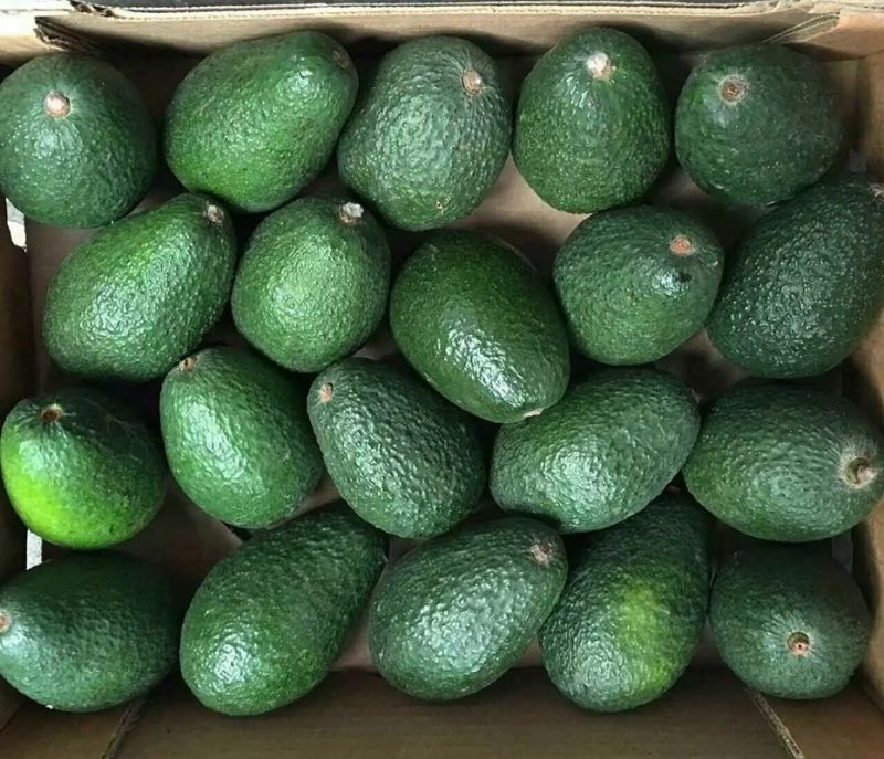 Fruits Food Cleaning Brush Washing Machine Continuous Avocado Washer