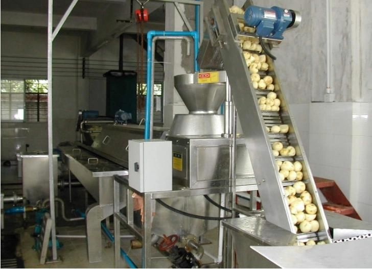Fresh Potato Chip Processing Line