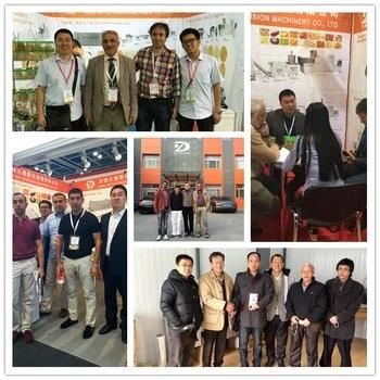 Ce Certification Panko Bread Crumbs Making Machine /Production Line