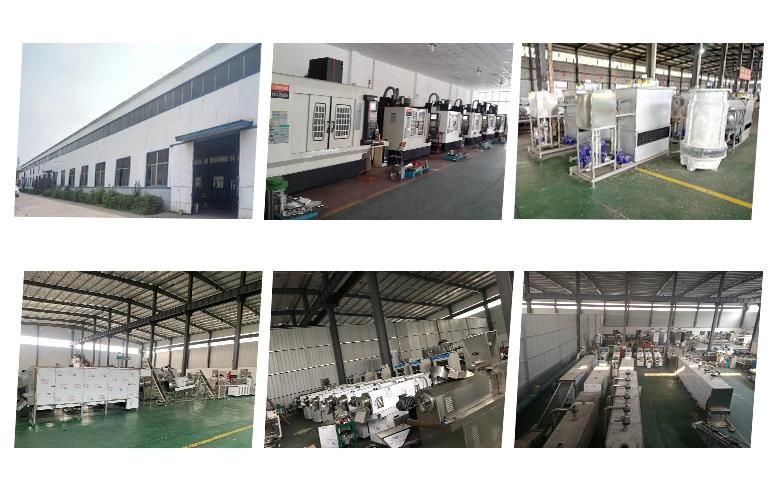 Automatic Industrial Vegetable Protein Food Processing Machine