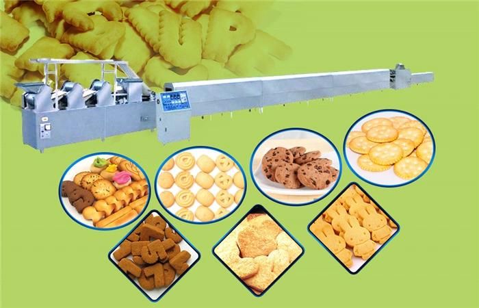 Popular and Good Taste Small Chocolate Biscuit Making Machine Soft and Hard Biscuit Making Machine