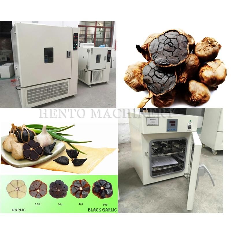 Black Garlic Fermenting Machine