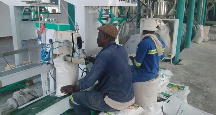 Hongdefa Complete Automatic 100t/24h Corn Grinding Machine Running in Nigeria
