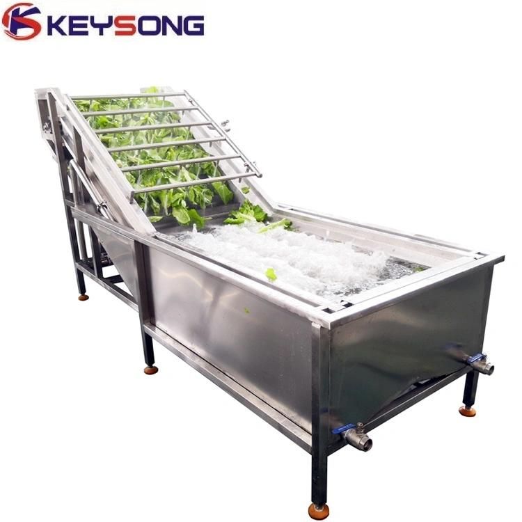 Air Bubble Fruit Vegetable Processing Washing Cleaning Machinery