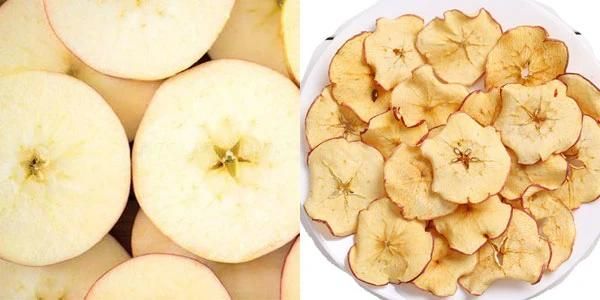 Hot Air Circulating Oven Hot Air Fruit and Vegetables Dryer Machine