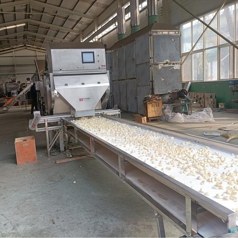 Factory Direct Sale of High Efficiency Chain Garlic Peeler