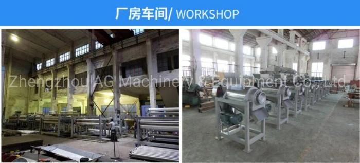 China Manufacturer Commercial Juicer Fruit and Vegetables Tomato Juice Making Machine