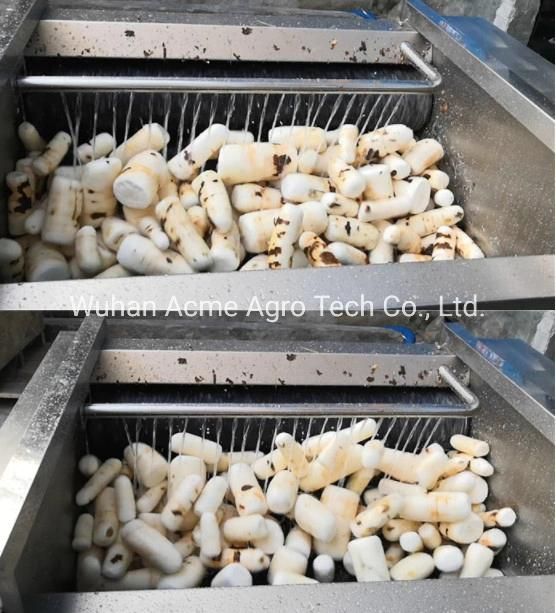 Cassava Washer Tapioca Peeler Machine