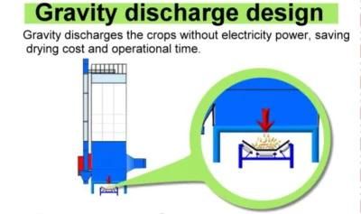 Grain King Dryers Tower Bin Capacity Service &#160; Italy Sask