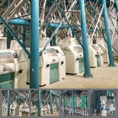 China First Grade 100t/24h Wheat Mill Machinery