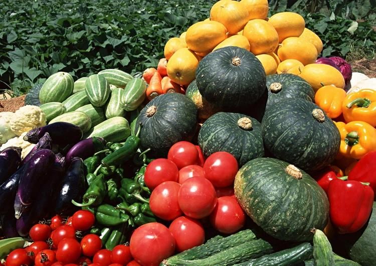 Automatic Fruit and Leaf Vegetable Air Bubble Industrial Washer Machine