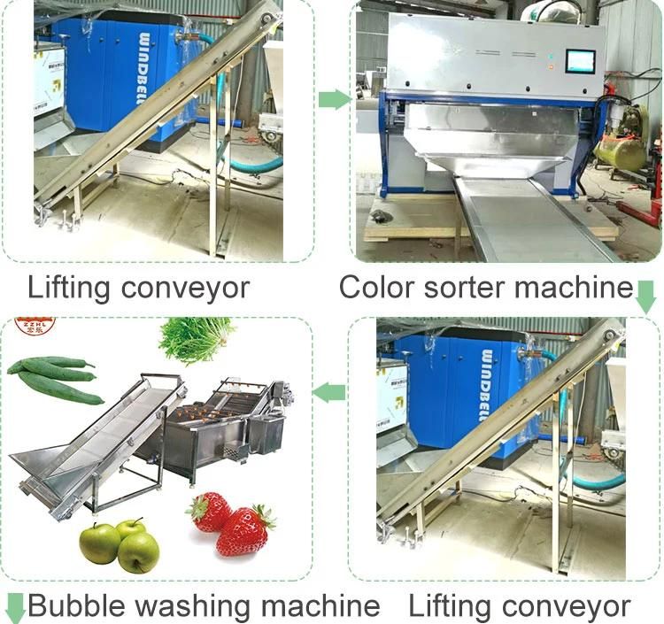 Garlic Cloves Filling Production Line with Liquid Nitrogen Full Automatic Garlic Peeling Machine