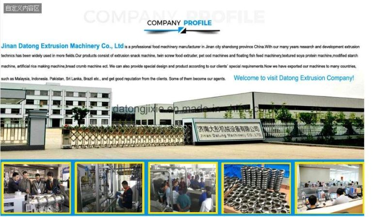 Corn Chips Snacks Processing Line