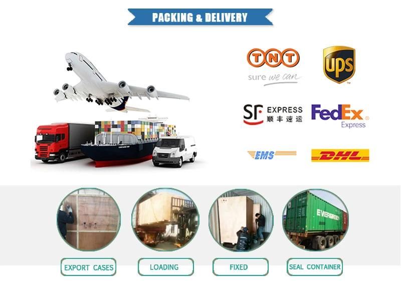 China Professional Cold Press Oil Seed Machine Palm Oil Extraction Machine