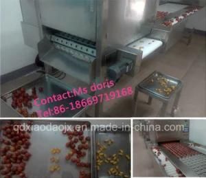 Automatic Fruit Pitting Machine, Fruit Pitter