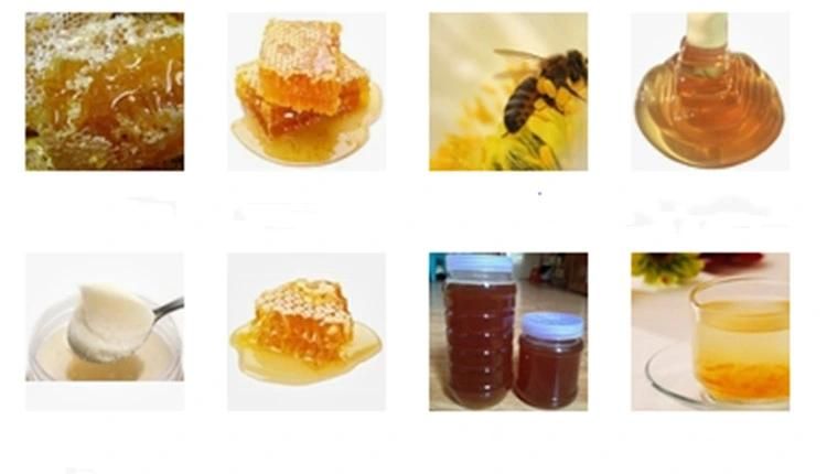 Stainless Steel Honey Concentration of High Efficiency and Purity