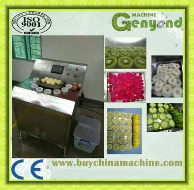 Hami Melon Slicing Machine for Sale in China