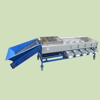 Orange Vegetable Sorter Palm Dates Cherry Garlic Grader Mango Fruit Sorting Onion Grading ...