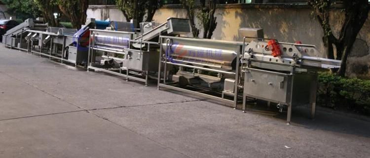 High Efficiency Fruit Salad Vegetable Cabbage Dicing Cutting Washing Dehydrating Machine Processing Machine